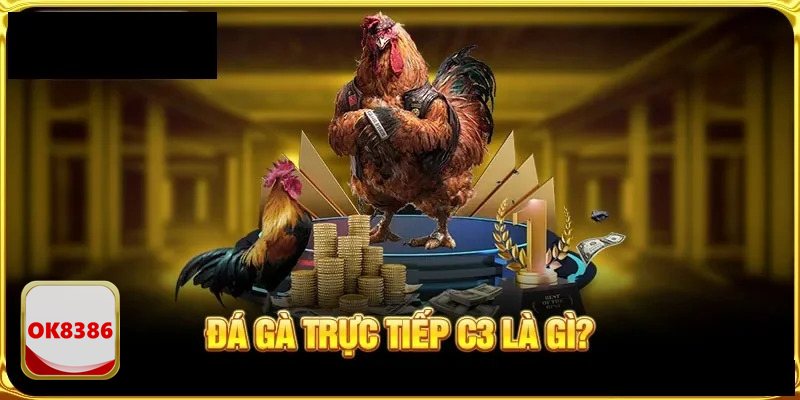 Đá Gà OK8386 - Trải nghiệm đá gà online chuẩn trường đấu